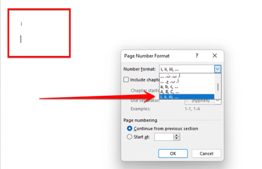 How To Insert Roman Numerals And Page Numbers In Word Software Accountant