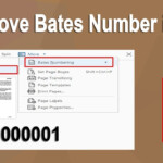 How To Remove Bates Numbering Of PDF Document In Adobe Acrobat Pro