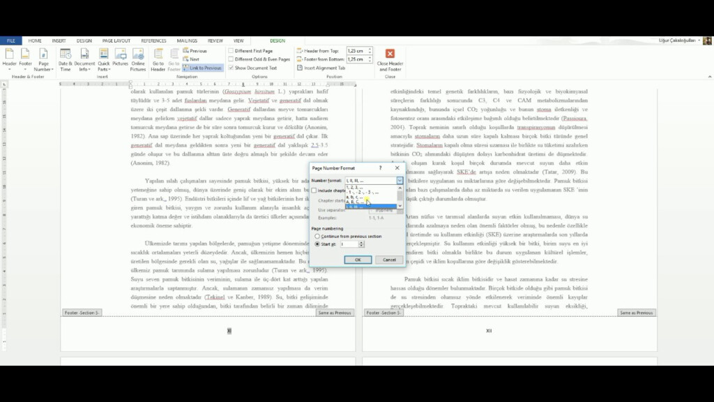 Microsoft Word 2013 Pagination With Roman Numerals And Numbers On Same 