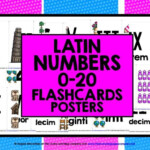 PRIMARY LATIN DISPLAY FLASHCARDS NUMBERS ROMAN NUMERALS 1 20 By