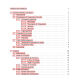 Table Of Contents Numbered In Roman In Lyx TeX LaTeX Stack Exchange