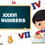 XXXVI In Numbers XXXVI Roman Numerals Meaning