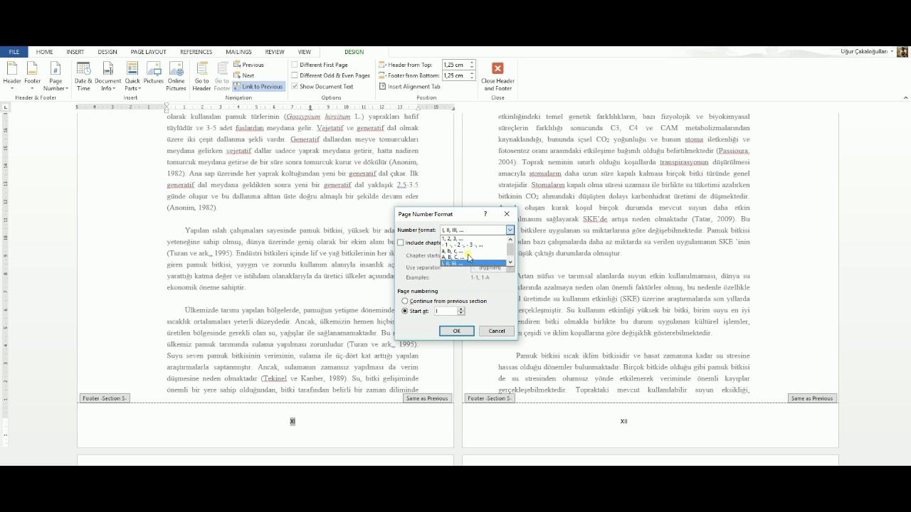 Microsoft Word 2013 Pagination With Roman Numerals And Numbers On Same