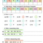 Worksheet Roman Numerals Grade 5 Schematic And Wiring Diagram