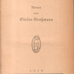 Die Partei Roman By Gro mann Stefan Akzeptabel 1919