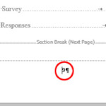 How Do I Number Pages Differently In The Various Sections Of My Thesis