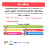 Math Interactive CD ROM Numbers Set DayDream Education