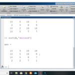 Xsort Matlab Ploraeducation